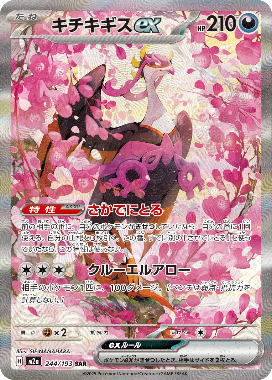 キチキギスex SAR 244/193